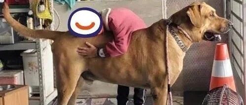 恐慌症的小女孩透过和2只狗狗的相处，得到了很大的改变！