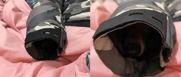 天气太冷外套袖口长出一圈迷彩蛇，饲主PO出正面照萌翻！