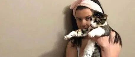 虎斑猫第一次感觉到胎动，从此在妈妈身边做出这样的举动！