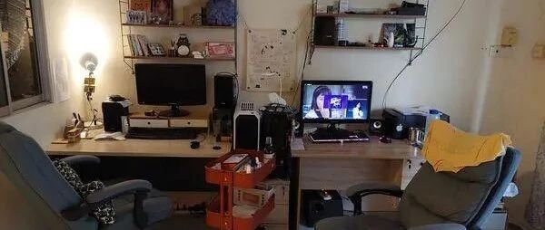 猫咪超强隐身术，直到拍下房间的全景照后才发现它的身影！