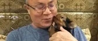 她带狗回家遭到老公反对，结果一周后变成任劳任怨的狗奴！