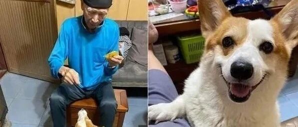 你看，通常最反对养狗的人，最后都是最疼爱狗的人！