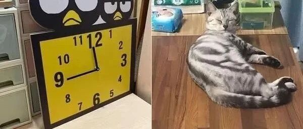 睡一觉醒来发现时钟秒针不见，回过神来才发现原来是猫咪做的好事！