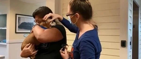 爱犬被偷走6年，突然奇迹出现，饲主接到电话直奔收容所……