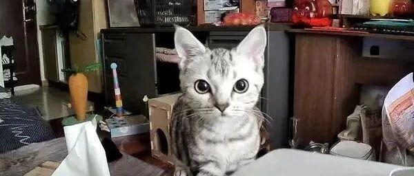 到底是谁在监视谁呢？