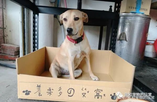 开车回家半路遇路霸,定睛一看,原来是......-微信头条网 开车回家半路遇路霸,定睛一看,原来是......