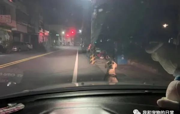 开车回家半路遇路霸，定睛一看，原来是......