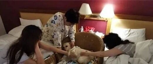 3名女子围绕在狗狗身旁唱安眠曲，这画面让人看了哭笑不得