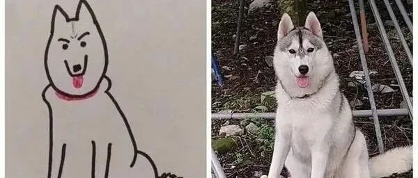 投稿二哈画成涂鸦，成品完成后亮了……神韵体型都超像！