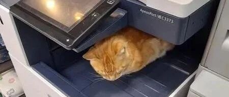 影印机台面上长出一只彩色橘猫，宛如3D列印般超级逼真！