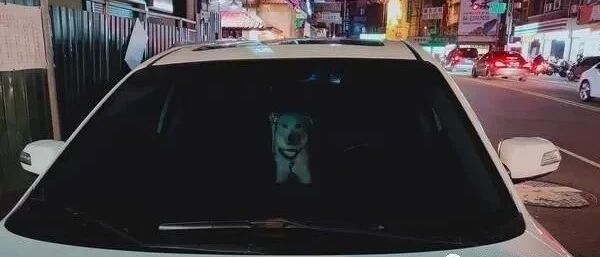 下车买饮料，转头却发现车上有个阴森白影，当场吓了她一跳！