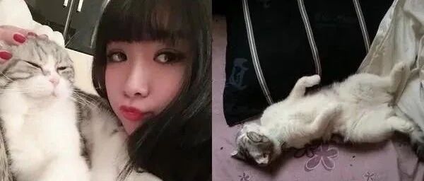 她午睡醒来，发现自己的头发竟被......梳头秒崩溃！