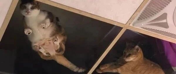 感觉头顶凉凉的，抬头一看，发现天花板有.....