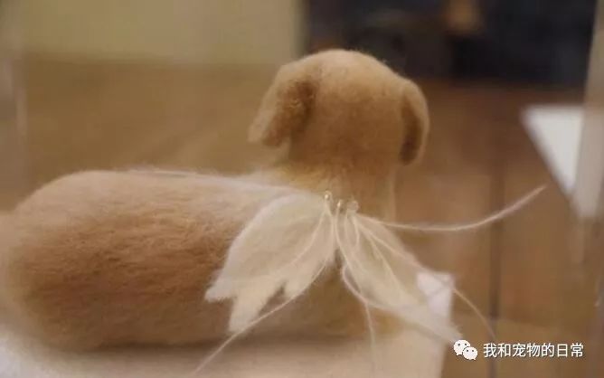 狗狗半年前去世了，朋友用他攢下的狗毛依原樣製作了一只毛氈狗狗！ 未分類 第4張
