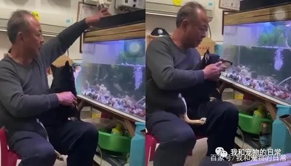 回到家看见爸爸抱着狗赏鱼,她不禁苦笑:我是亲生的吗?-微信头条网 回到家看见爸爸抱着狗赏鱼,她不禁苦笑:我是亲生的吗?