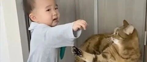 宝宝找猫哥哥玩被拒绝，衣服还被爪子勾住，委屈爆哭求救！