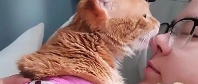 橘猫大方秀肉球，下秒拥吻饲主超深情：是天使！