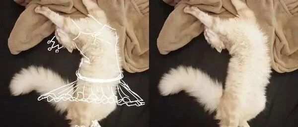 这奴才好有艺术天分呀！