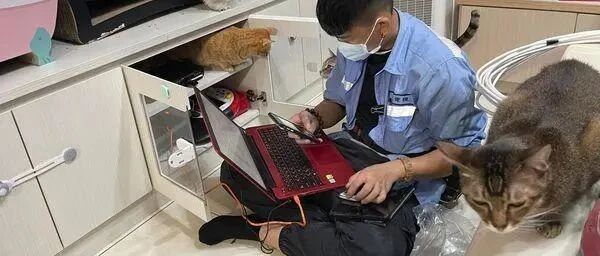 工程师上班已经很累了，还要被客户的猫各种骚扰！