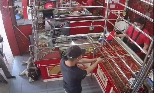 店内闯入歹徒，哈士奇却躺在一旁装死，网友：二哈生存技能满分！