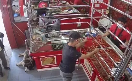 店内闯入歹徒，哈士奇却躺在一旁装死，网友：二哈生存技能满分！