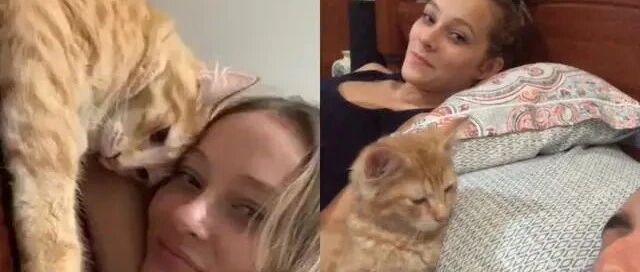小橘猫屁颠走向女人，下一秒的行为竟让人暖到心坎里去！