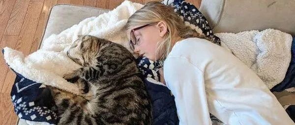 虎斑猫闯进学校陪小主人上课，饲主笑：全校都认得它！