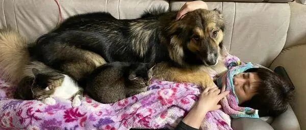 才刚躺下，一条巨兽直接踩上身重压，快不能呼吸了啦！