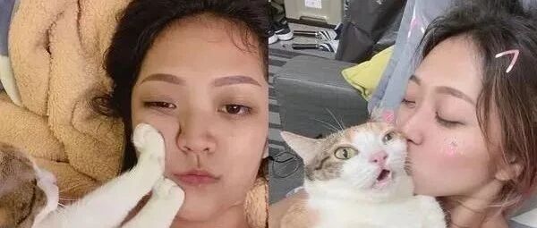 防奴才偷拍！长腿喵一连串的动作亮了，网友：已经成精了！