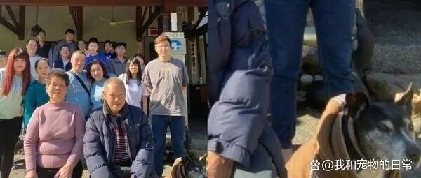 客人跟民宿狗合照，结果下秒全家族都来拍，狗狗的反应亮了！