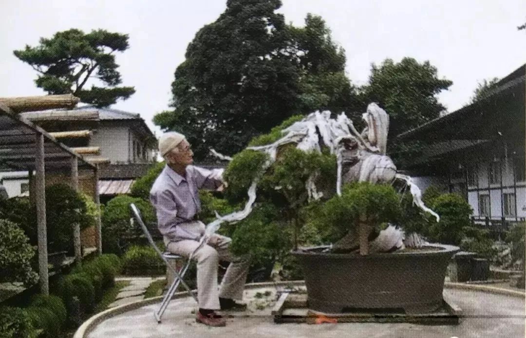 事園有約 品鑑漂洋過海而來的日本盆景 聆聽大師分享bonsai藝術 事園 微文庫