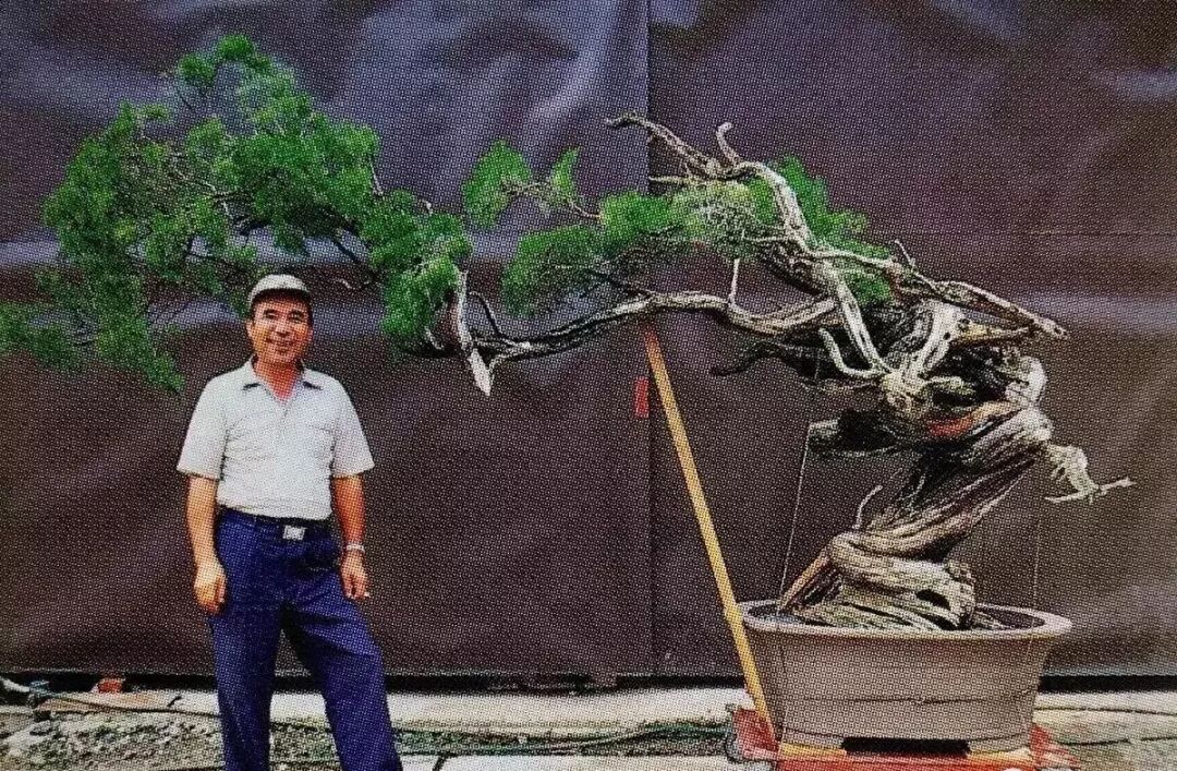 事園有約 品鑑漂洋過海而來的日本盆景 聆聽大師分享bonsai藝術 事園 微文庫