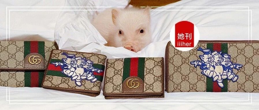 哈哈哈哈哈哈，LV、GUCCI、纪梵希果然没能放过猪，丑瞎了！