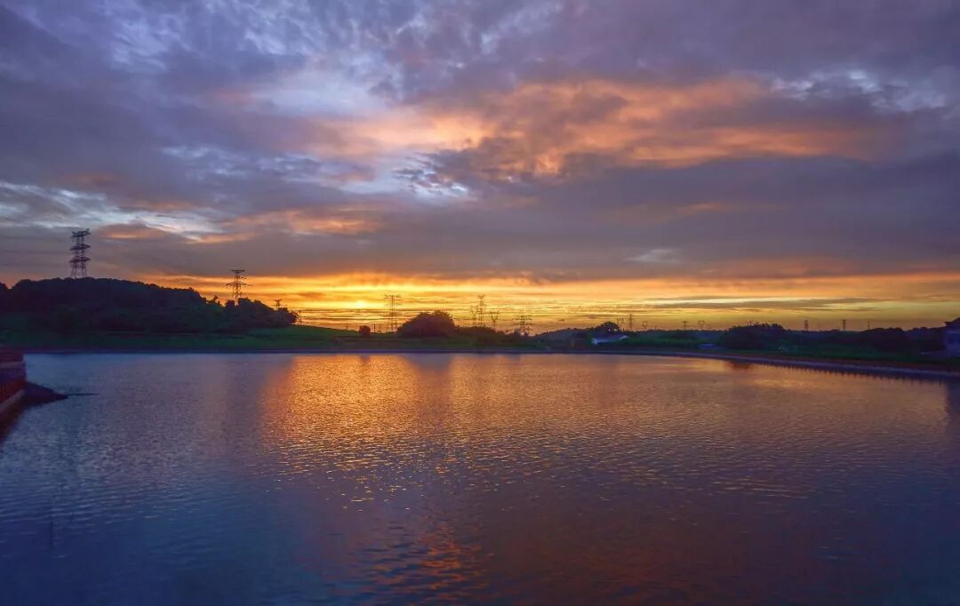 明天入伏 准备好迎接40天超长版三伏天