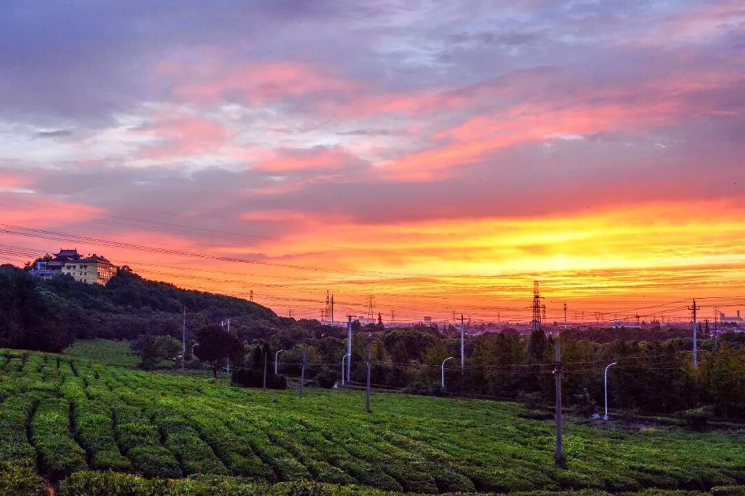 明天入伏 准备好迎接40天超长版三伏天