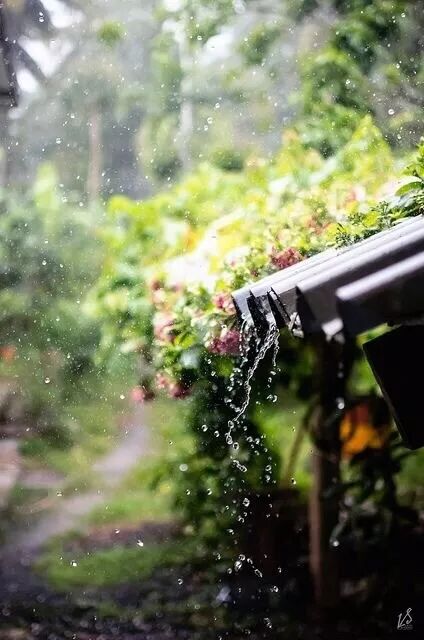 无锡今天正式入梅 比常年入梅平均日期晚了六天