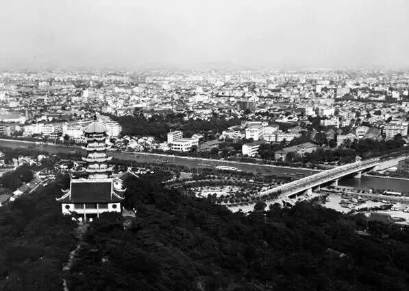 就在今晚！这场网民的盛会即将华丽落幕！