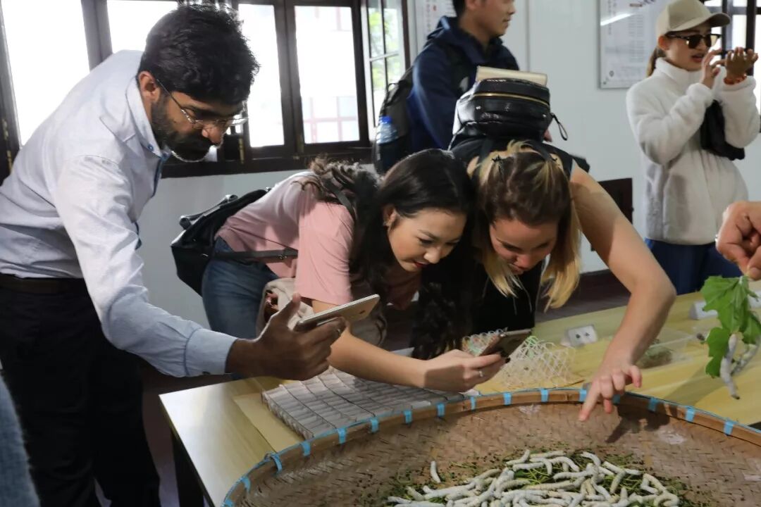 就在今晚！这场网民的盛会即将华丽落幕！