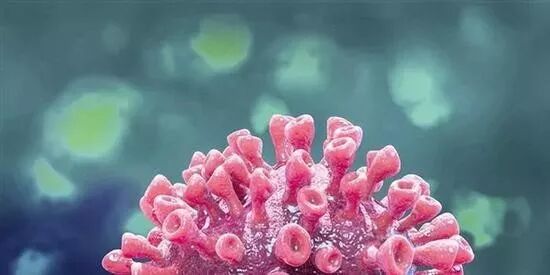 与疫情赛跑！澳洲顶级研究团队加紧推进病毒研究 - 2