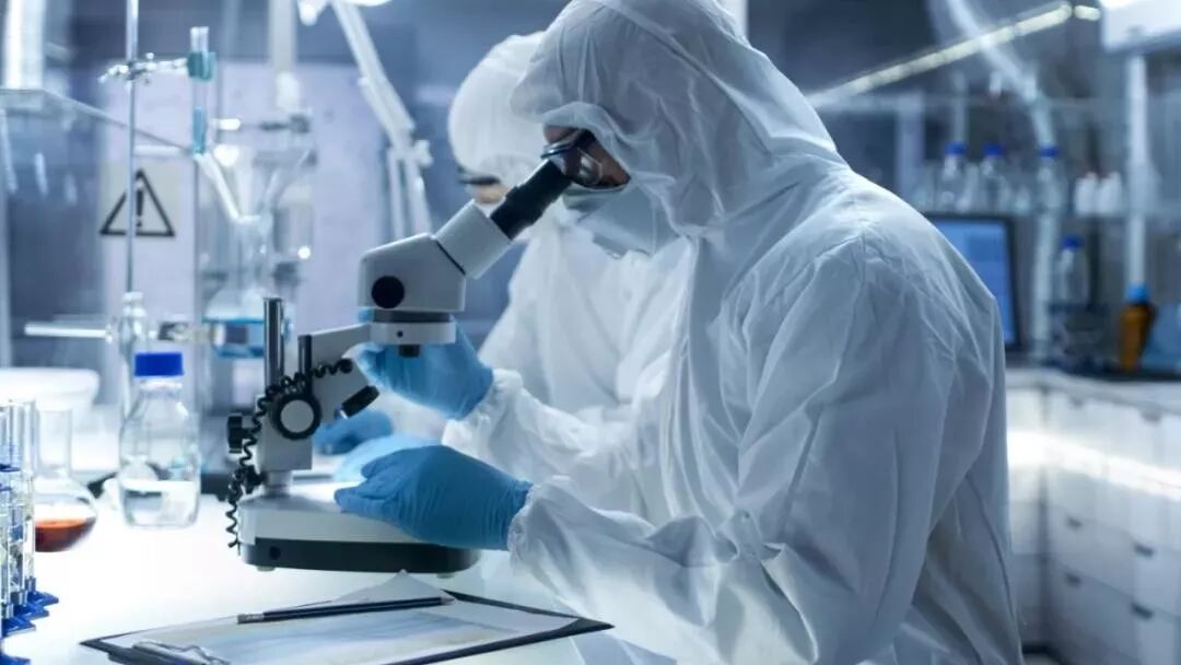 与疫情赛跑！澳洲顶级研究团队加紧推进病毒研究 - 1