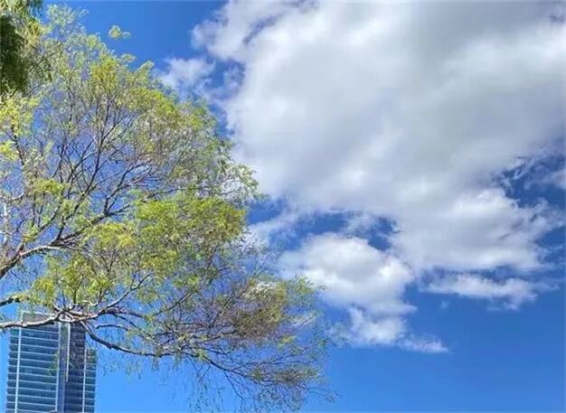 澳洲股市周一早盘上扬 Link股价暴跌10% - 1