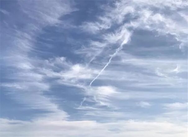 对国际旅行恢复抱有信心 澳航开始预订下半年国际航线机票 - 1