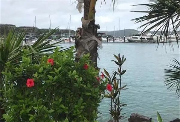 澳洲稀土矿商PEK：盛和资源虽为最大股东 仍坚持“非中国”市场策略 - 1