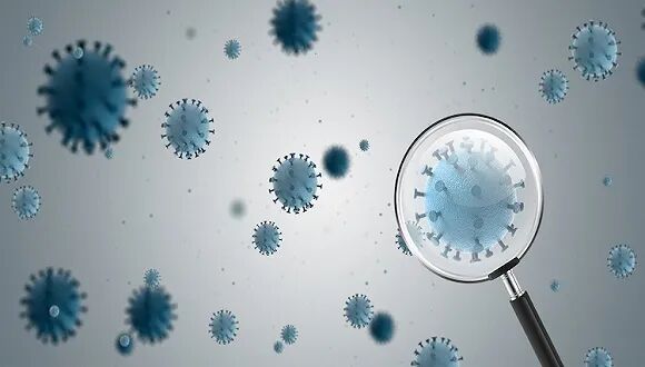 新州确诊病例年轻人占比最高 悉尼大学揭示抗疫关键手段 - 2