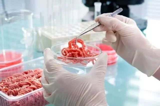 澳洲“人造肉”风口正起：颠覆，还是噱头？ - 2