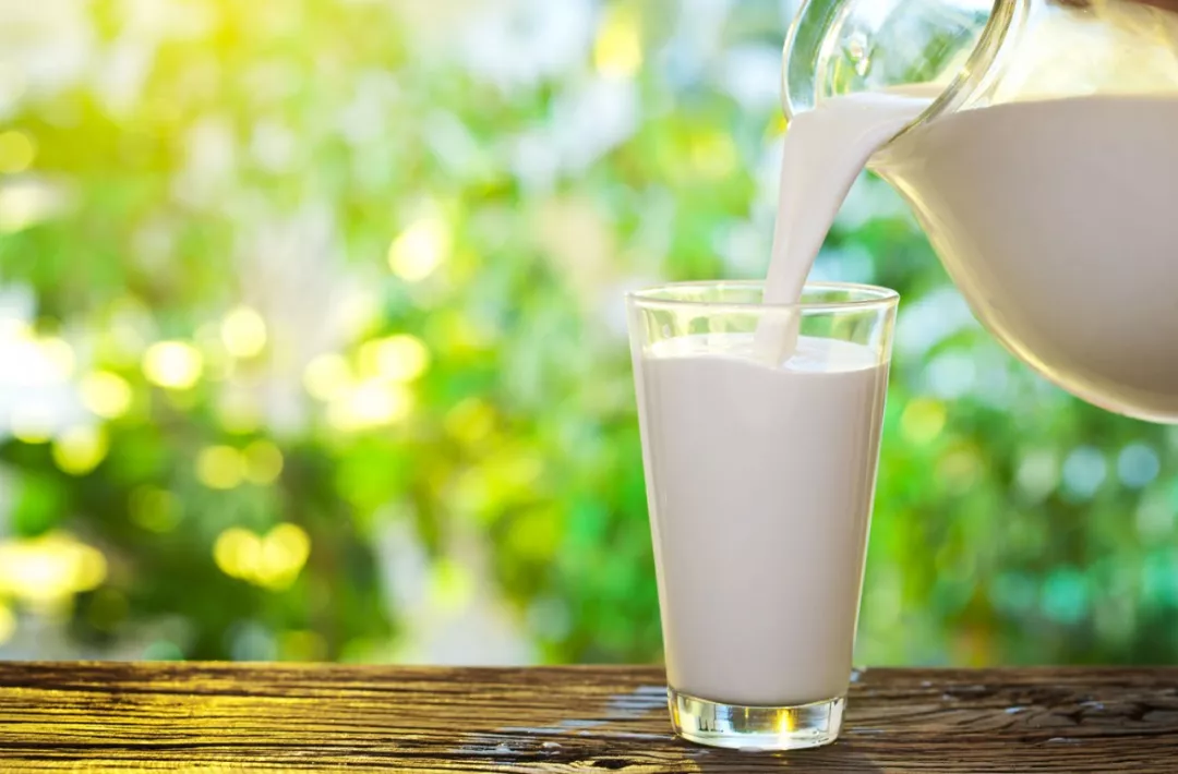 A2公布半年财报：奶粉销量猛增 净利润翻1.5倍 股价跻身双位 - 2