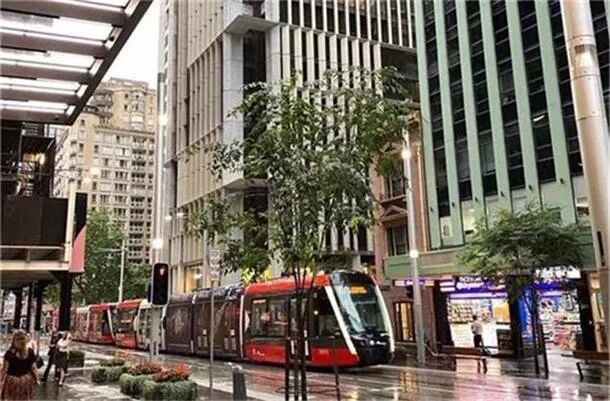 选战将启 民调显示莫里森“反对率”远高于工党领袖 国际学生返回澳洲 出租房空置率低至1% - 1