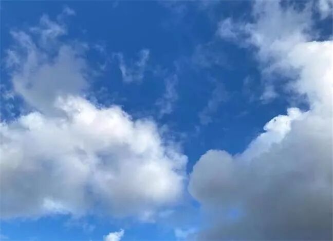 边界封锁和圣诞假期刺激在线消费 Coles创单日网上销售纪录 - 1