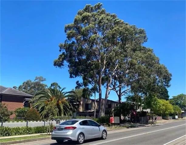 新州“地区采购政策”助中小企业快速度过难关 - 1