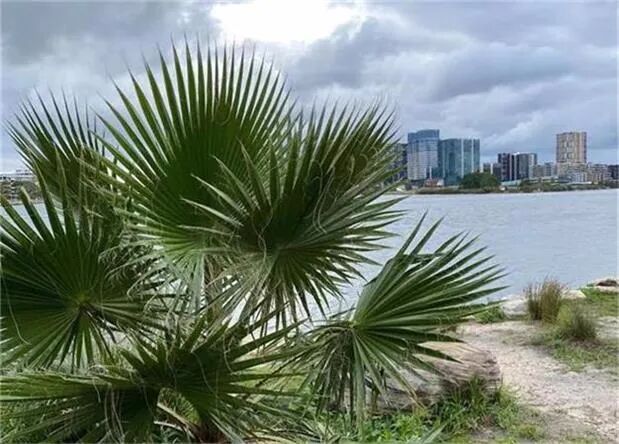 澳股|拜登公布经济刺激计划市场反应平淡 大盘平收Afterpay新高不断 - 1